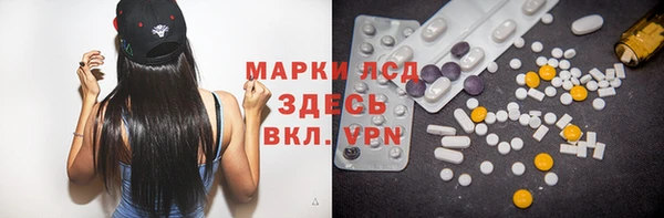 мдпв Тайга