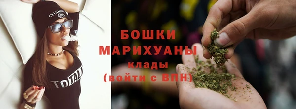 прущие грибы Тобольск