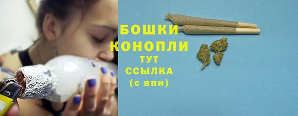 прущие грибы Тобольск