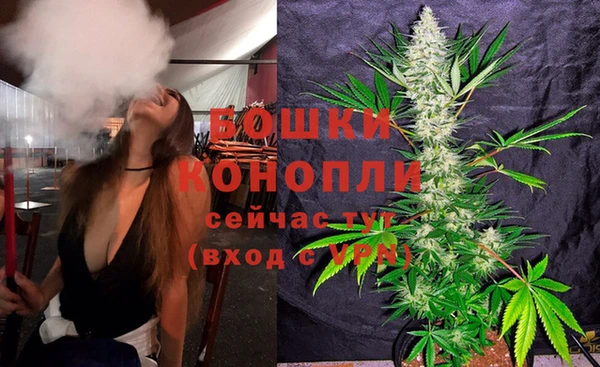 прущие грибы Тобольск